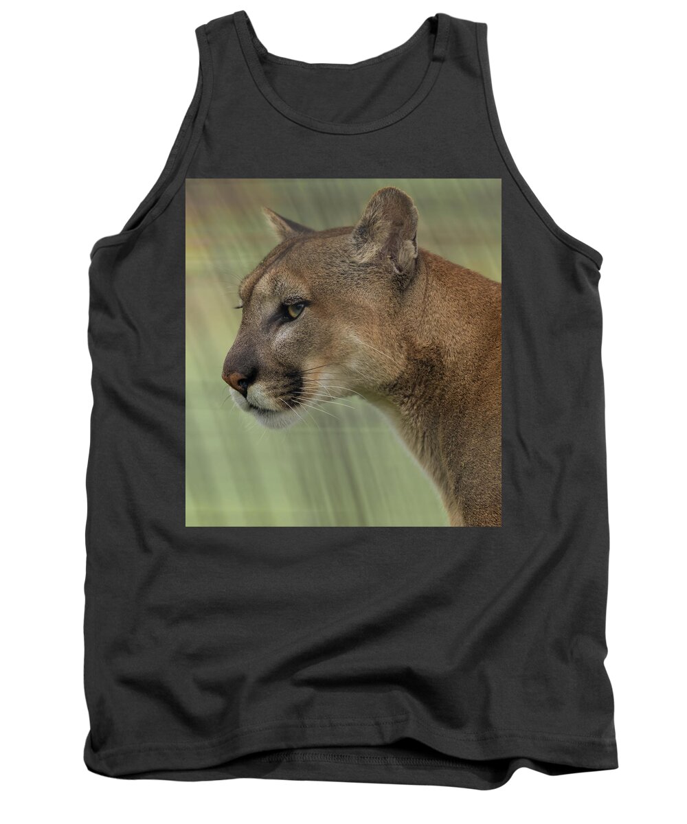 Mountain Lion Tank Top featuring the photograph Mountain lion portrait by Sam Rino
