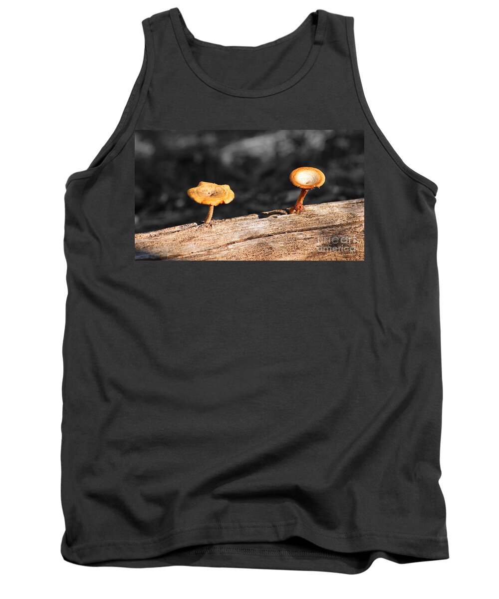 Fine Art Tank Top featuring the photograph Mushrooms on a Branch by Donna Greene