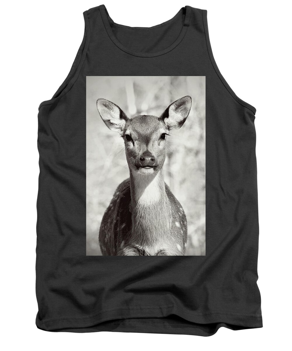 Deer Tank Top featuring the photograph My Dear by Jessica Brawley