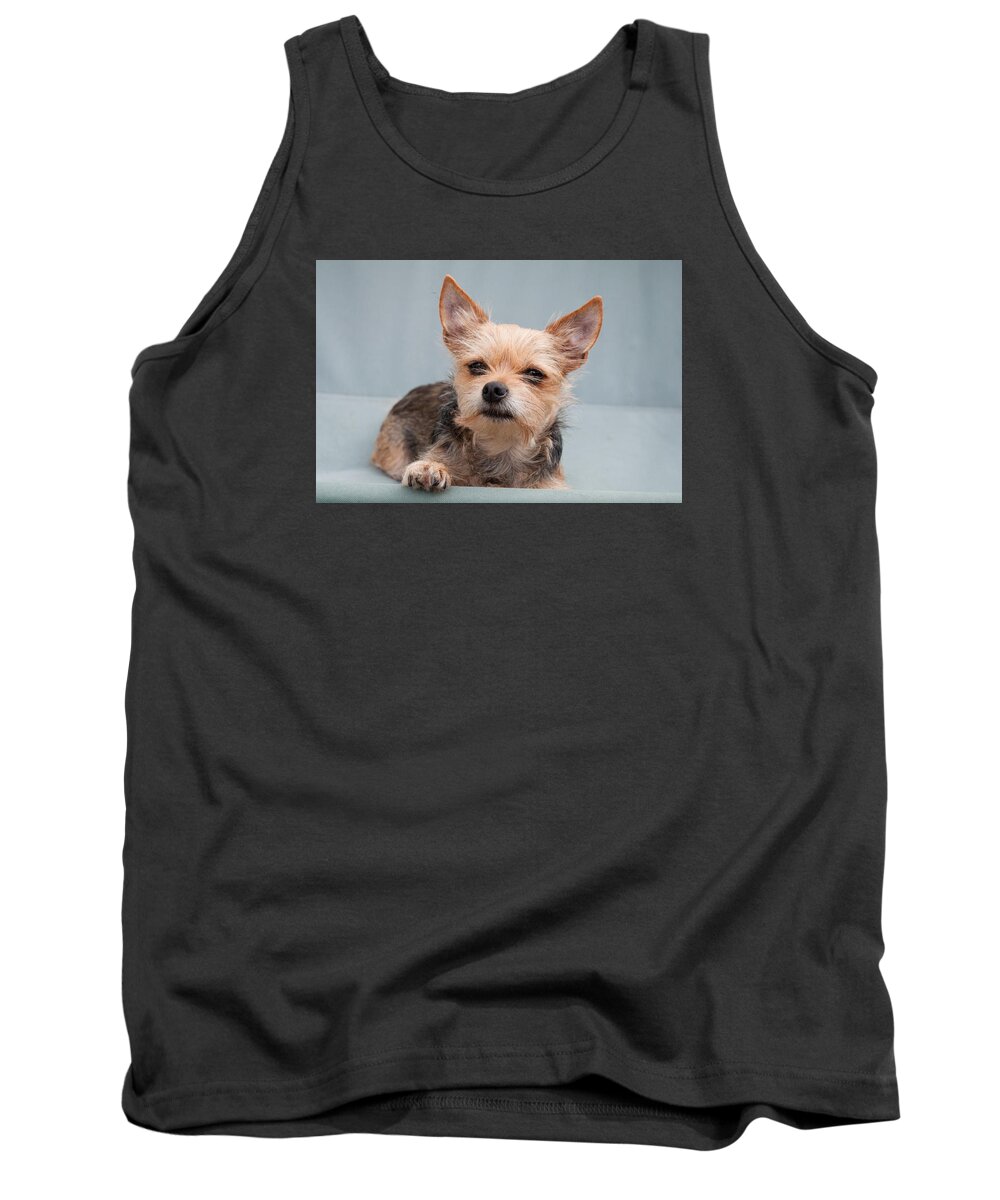 Dog Tank Top featuring the photograph my dog named Luna by Jeroen Tol