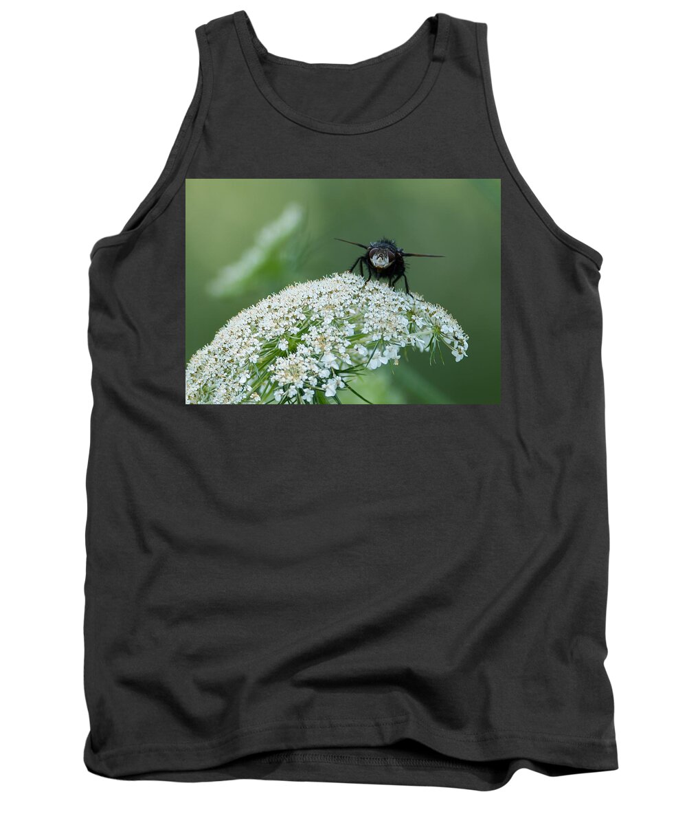Plant Tank Top featuring the photograph Nature Up Close by Holden The Moment