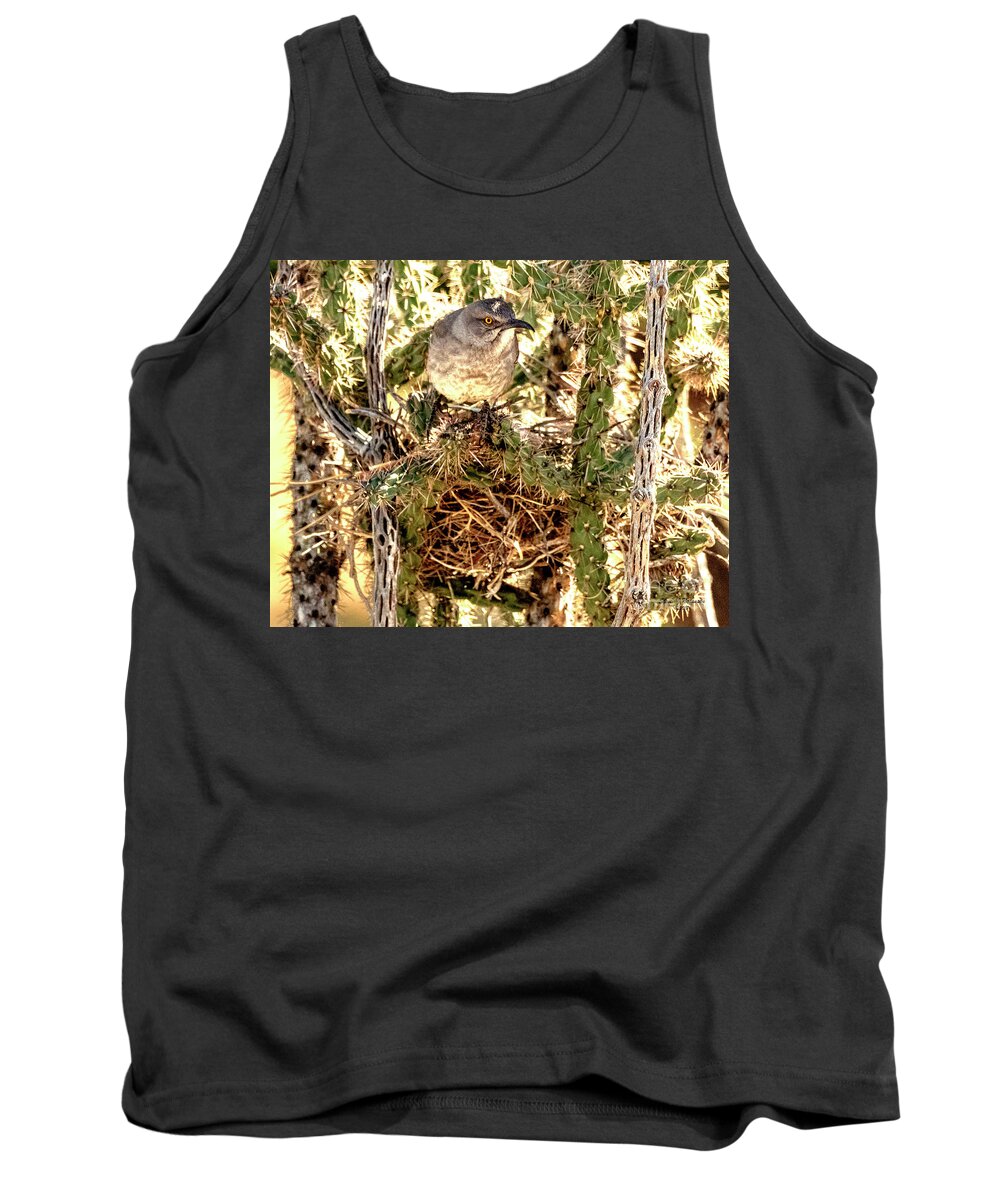 Natanson Tank Top featuring the photograph Nesting Thrasher by Steven Natanson