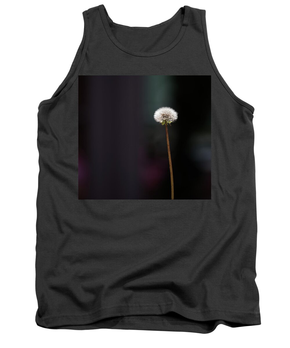 Dandelion Tank Top featuring the photograph Never Stop Wishing by Cynthia Wolfe