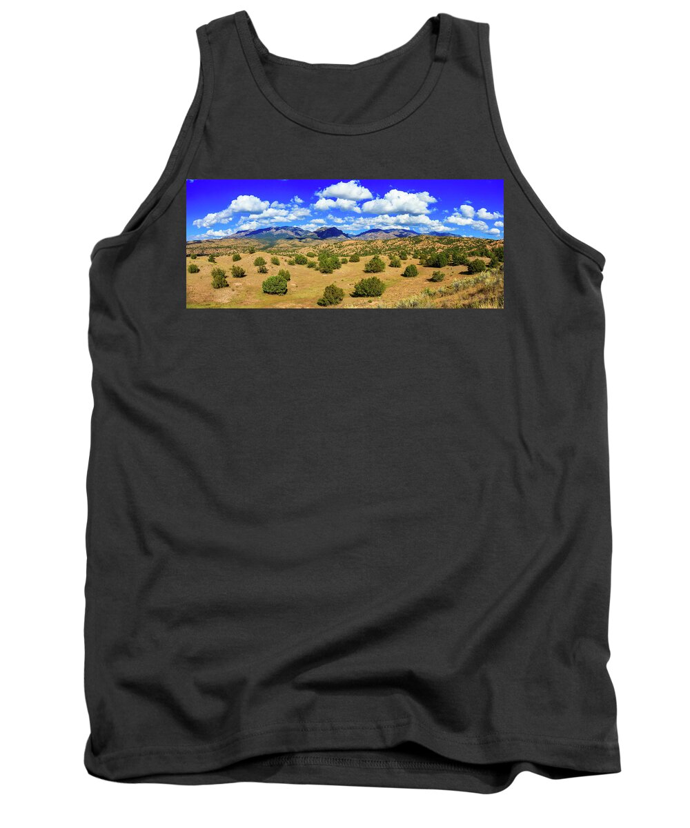 Gila National Forest Tank Top featuring the photograph New Mexico Beauty by Raul Rodriguez
