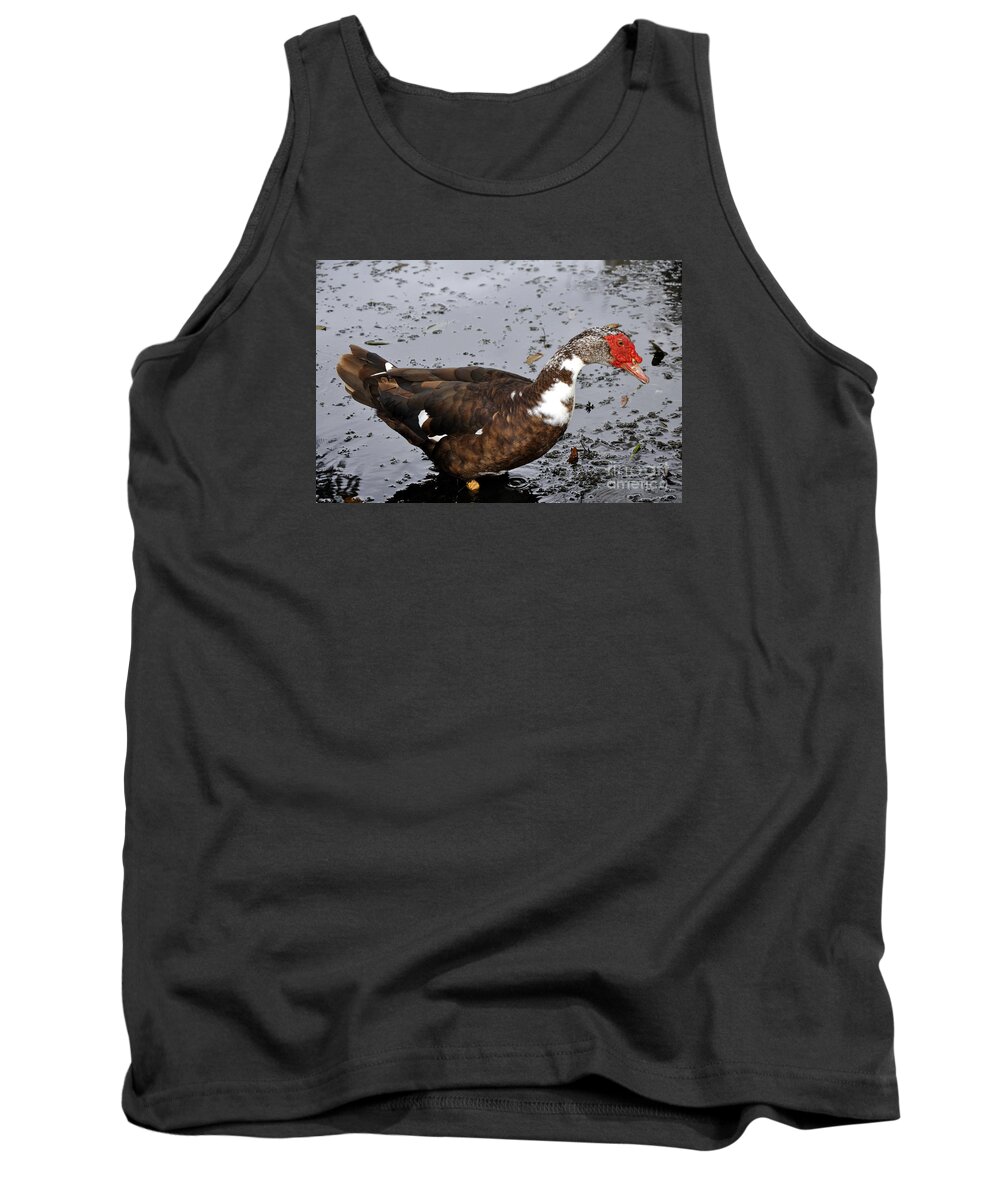 Duck Tank Top featuring the photograph New Orleans Duck 2 by Andrew Dinh