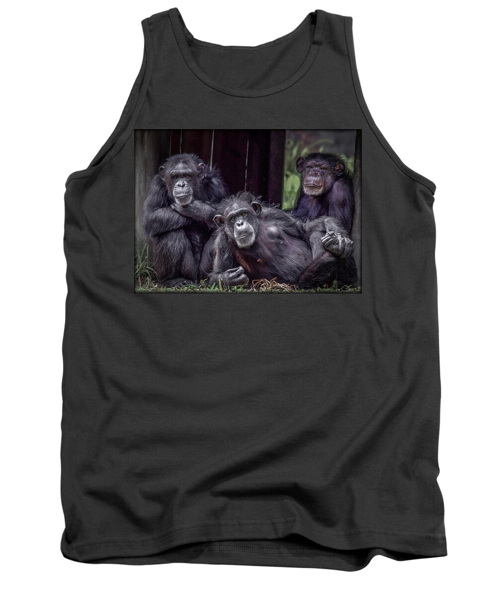 Monkeys Tank Top featuring the photograph No Monkey Business by Jaime Mercado
