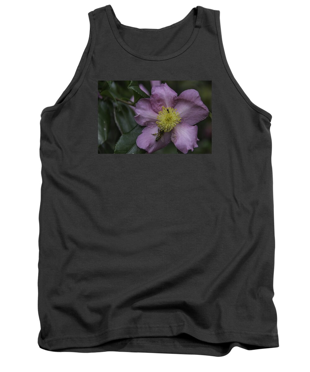 Camellia Tank Top featuring the photograph October Camellia by Teresa Mucha