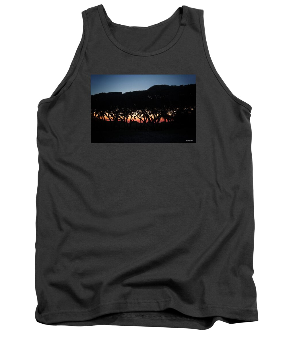 Fort Fisher Sunset Scene Tank Top featuring the digital art Oh Those Trees by Phil Mancuso