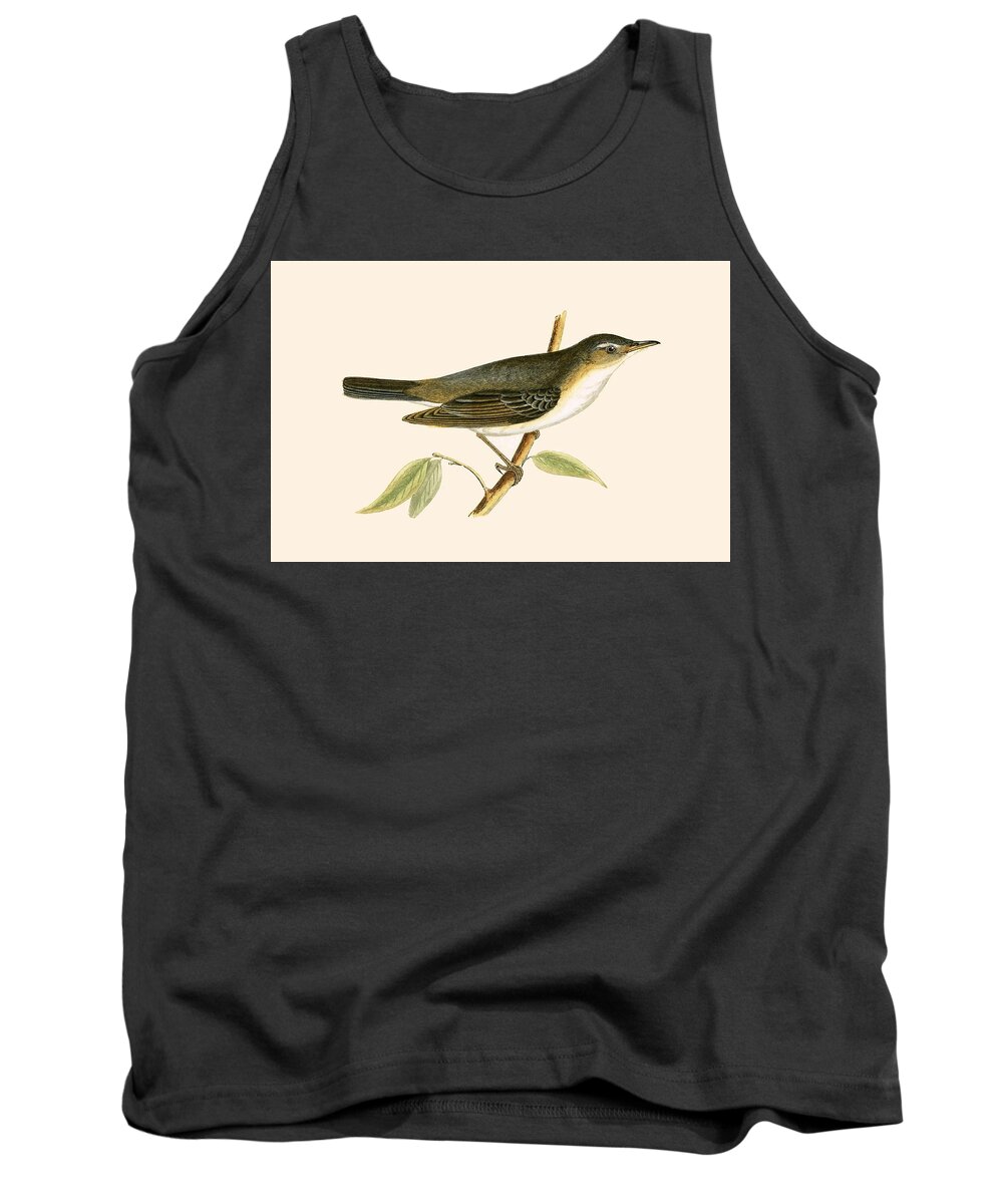 Olive Tree Warbler Tank Top featuring the painting Olive Tree Warbler by English School