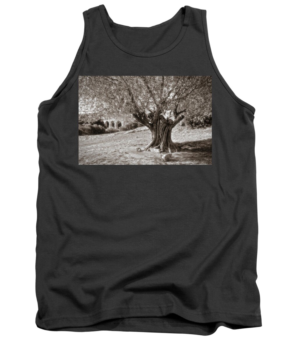 On1 Effects Tank Top featuring the photograph Olivo by Roberto Pagani