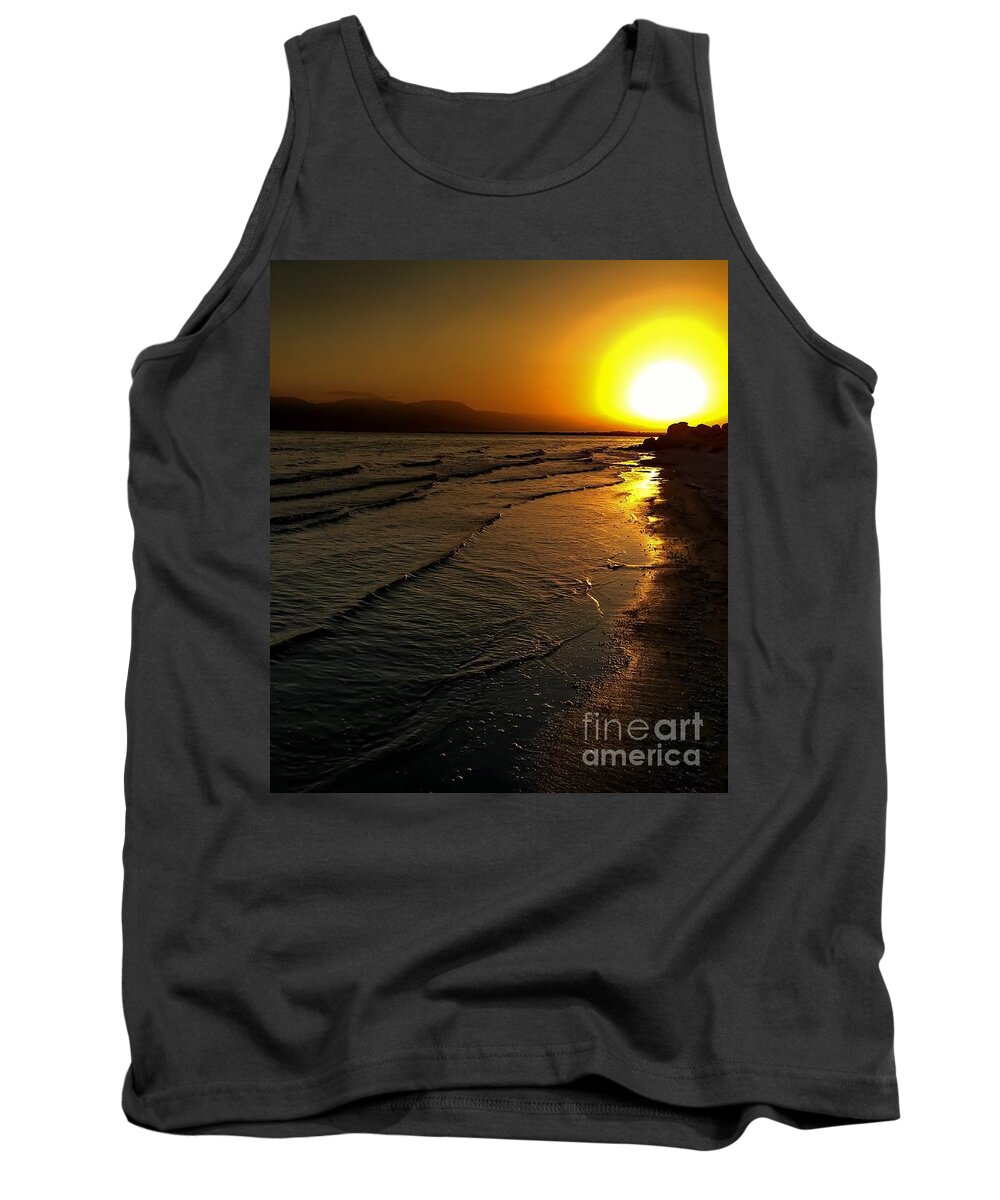 Landscape Tank Top featuring the photograph On the Banks of The Salton Sea by Chris Tarpening
