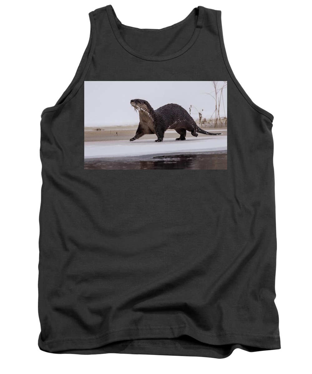 Otter Tank Top featuring the photograph On the Move by Jody Partin