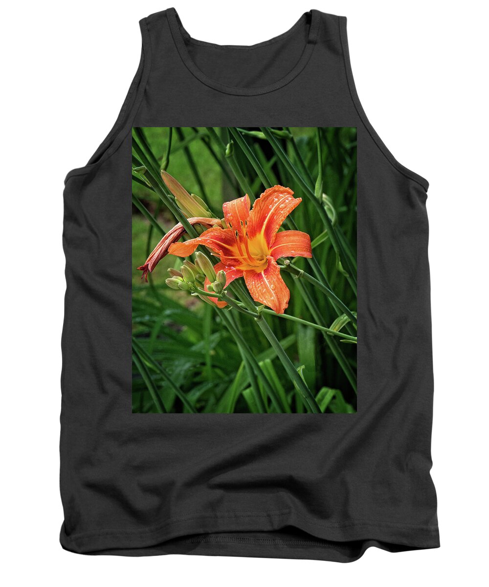 Orange Tiger Lily Portrait Tank Top featuring the photograph Orange Tiger Lily Portrait by Gwen Gibson