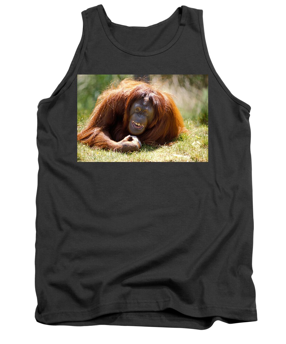 Animal Tank Top featuring the photograph Orangutan In The Grass by Garry Gay
