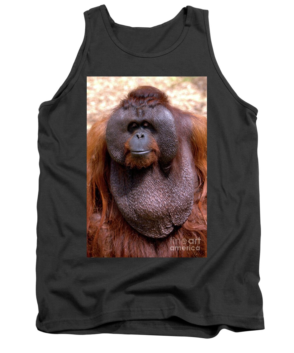 Ape Tank Top featuring the photograph Orangutan portrait by Baggieoldboy