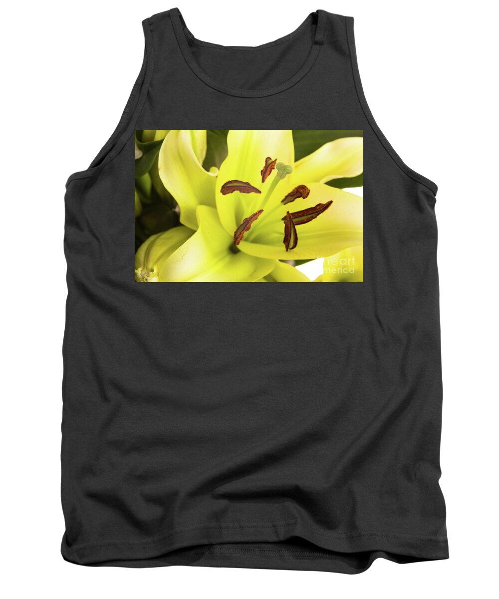 Alive Tank Top featuring the photograph Oriental Lily Flower by Raul Rodriguez