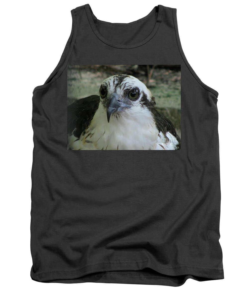 Bird Tank Top featuring the photograph Osprey Portrait by Donna Brown