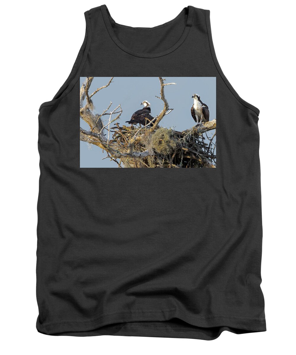 Birds Tank Top featuring the photograph Osprey Family by Norman Peay