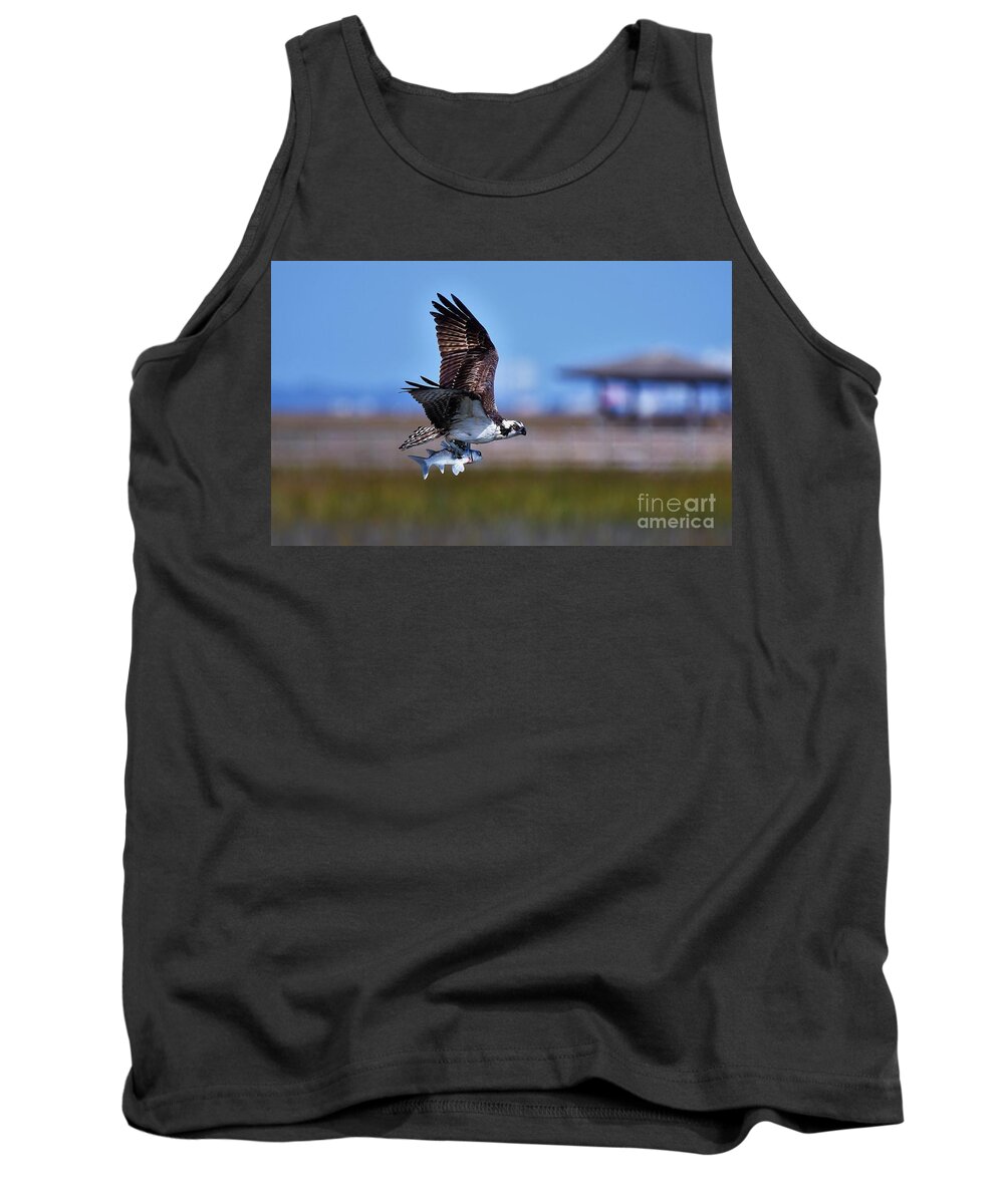 Osprey Tank Top featuring the photograph Osprey With Dinner by Julie Adair