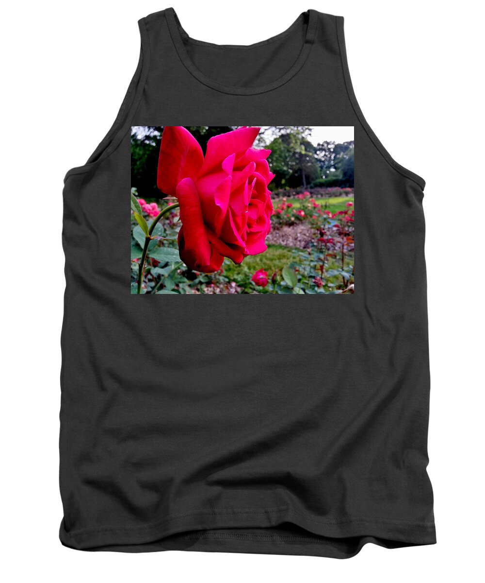 Rose Tank Top featuring the photograph Outstanding by Robert Knight