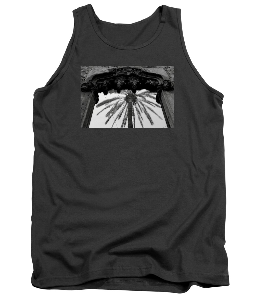 Palm Tank Top featuring the photograph Palm in the window by Emme Pons