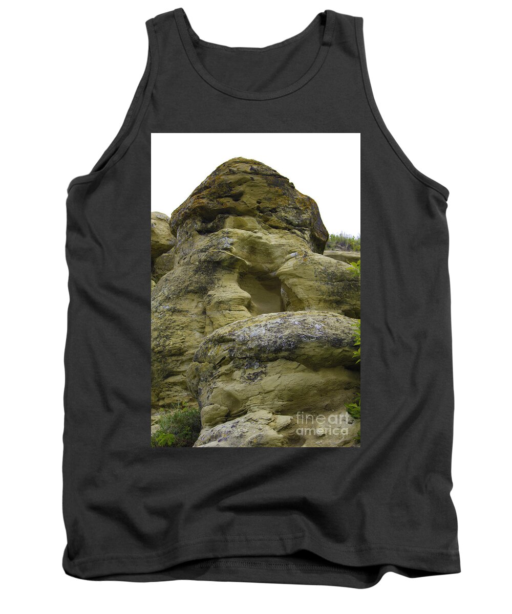 Panorama Hills Park Tank Top featuring the photograph Panorama Hills Bluffs 3 by Donna L Munro