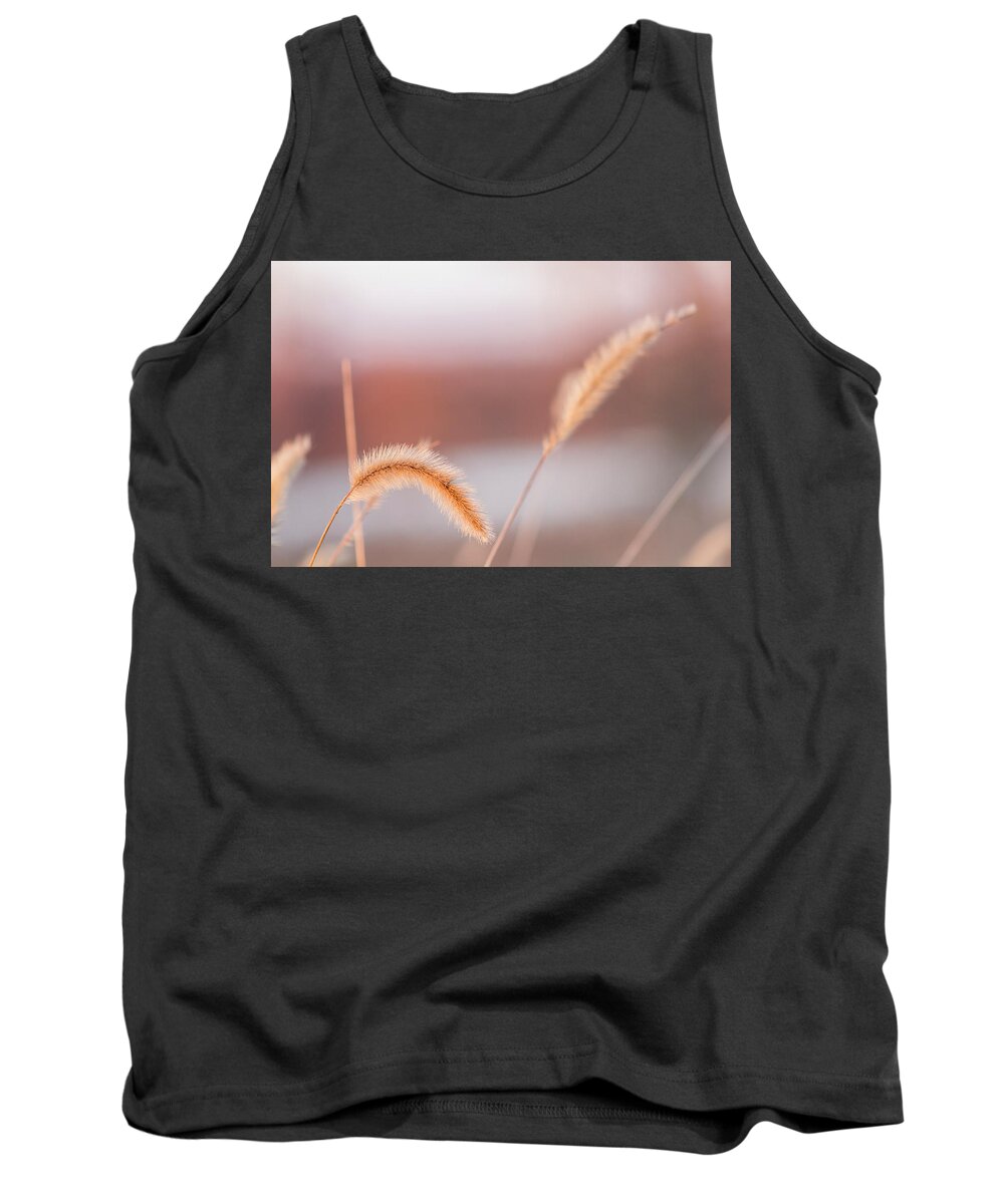 Weeds Tank Top featuring the photograph Pastel Sunset by Holly Ross