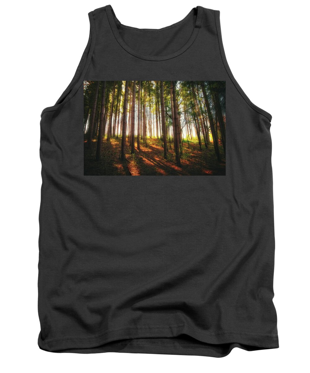 Wisconsin Landscape Tank Top featuring the photograph Peaceful Wisconsin Forest 2 - Spring at Retzer Nature Center by Jennifer Rondinelli Reilly - Fine Art Photography