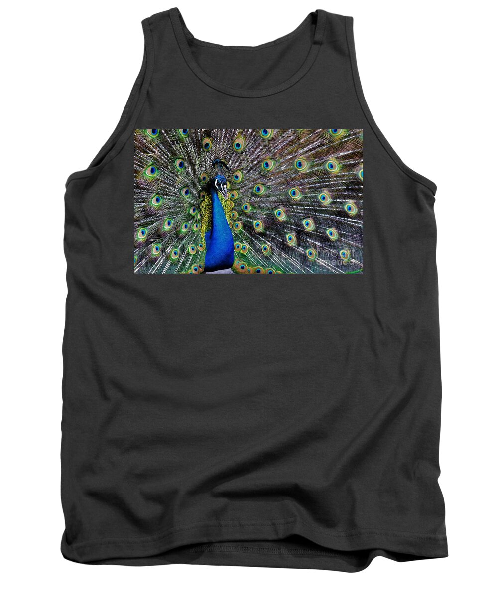 Peacock Tank Top featuring the photograph Peacock Fan by Julie Adair