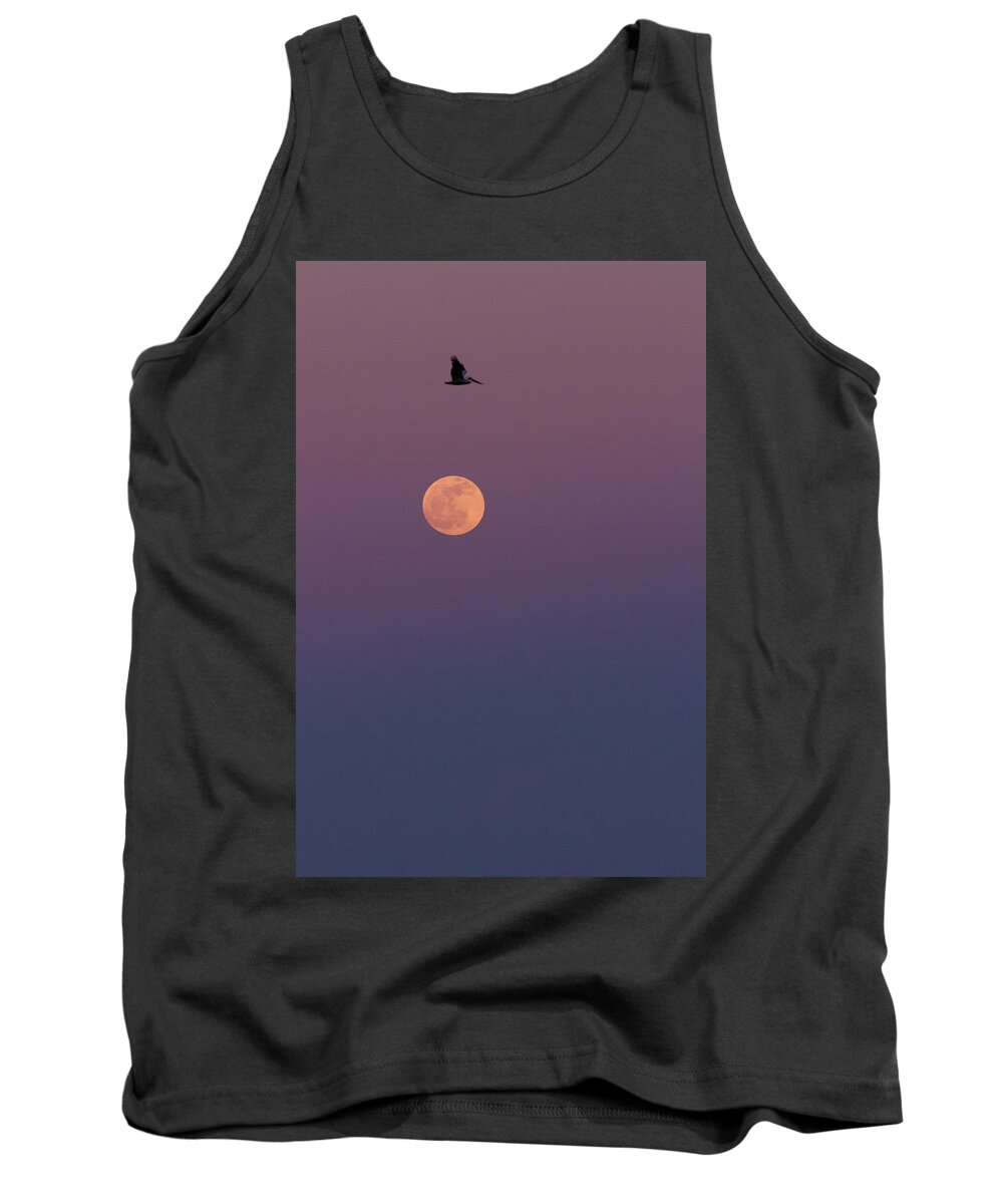 Pelican Tank Top featuring the photograph Pelican Over the Moon by Paul Rebmann