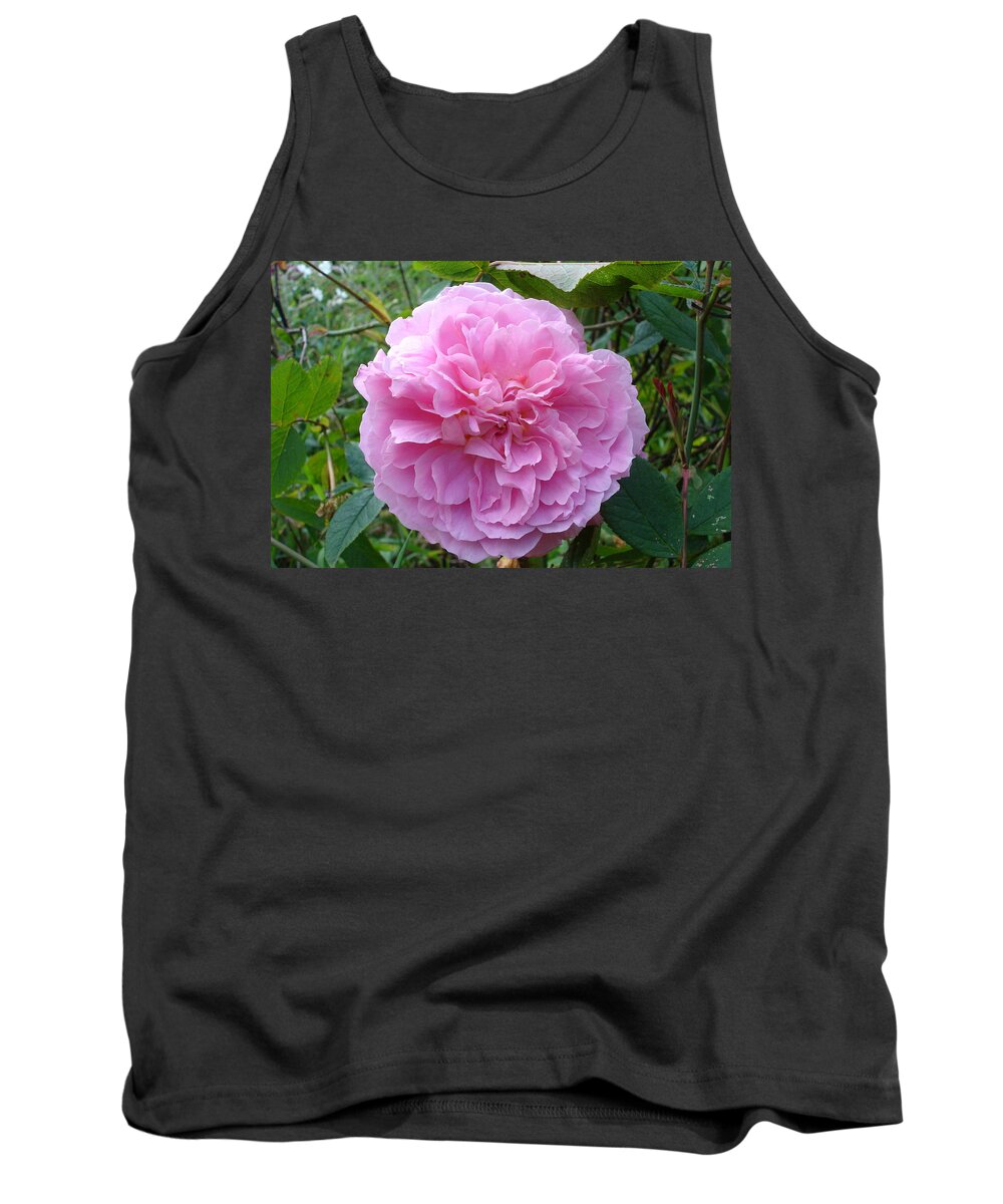 Rose Tank Top featuring the photograph Perfect pink rose by Susan Baker