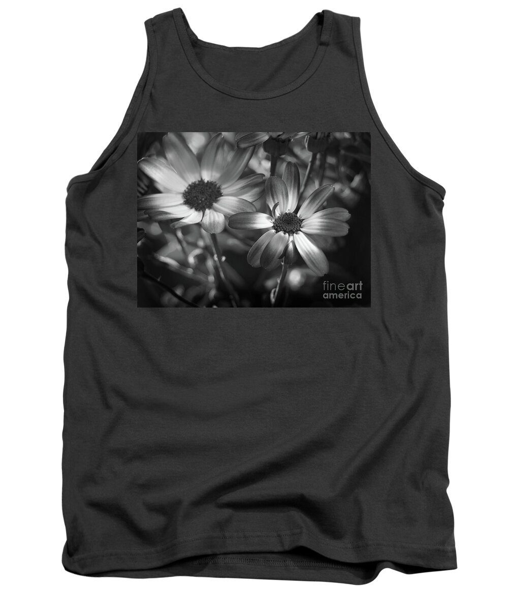 Flowers Tank Top featuring the photograph Pericallis Senetti Blue Bicolor In Monochrome 2 by Dorothy Lee