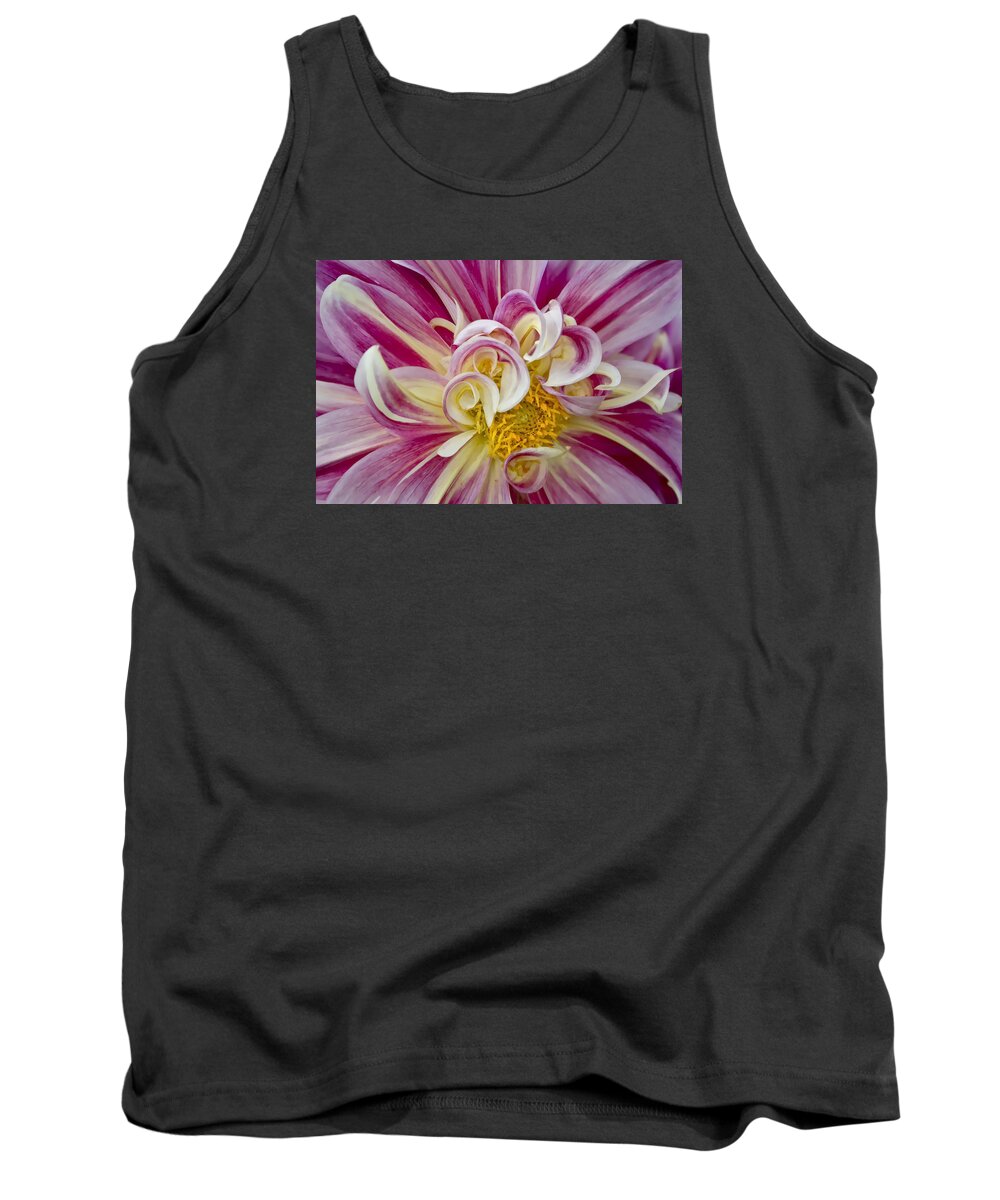 Pink & White Dahlia Tank Top featuring the photograph Pink and White Dahlia by Ken Barrett