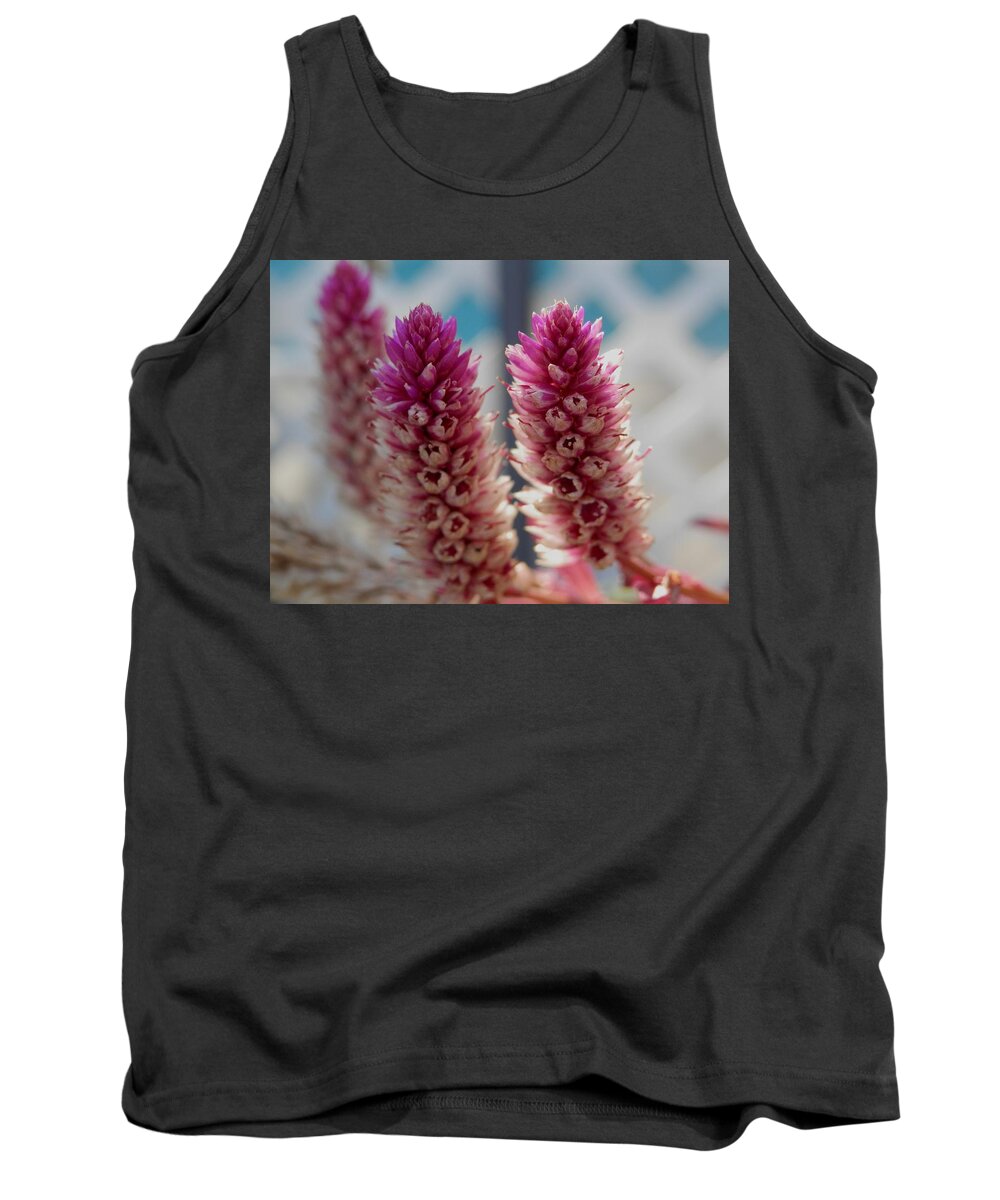 #pinkbeauty #blooms Turning To #seeds Of #celosia #flowers Tank Top featuring the photograph Pink Celosia Seeding by Belinda Lee