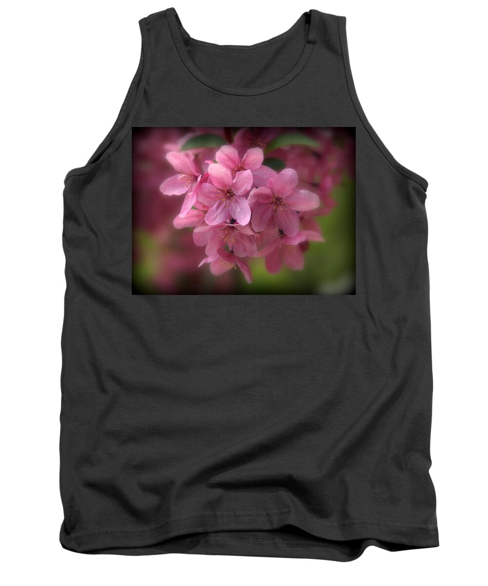 Malus Tank Top featuring the photograph Pink Crabapple Blossoms by Nathan Abbott