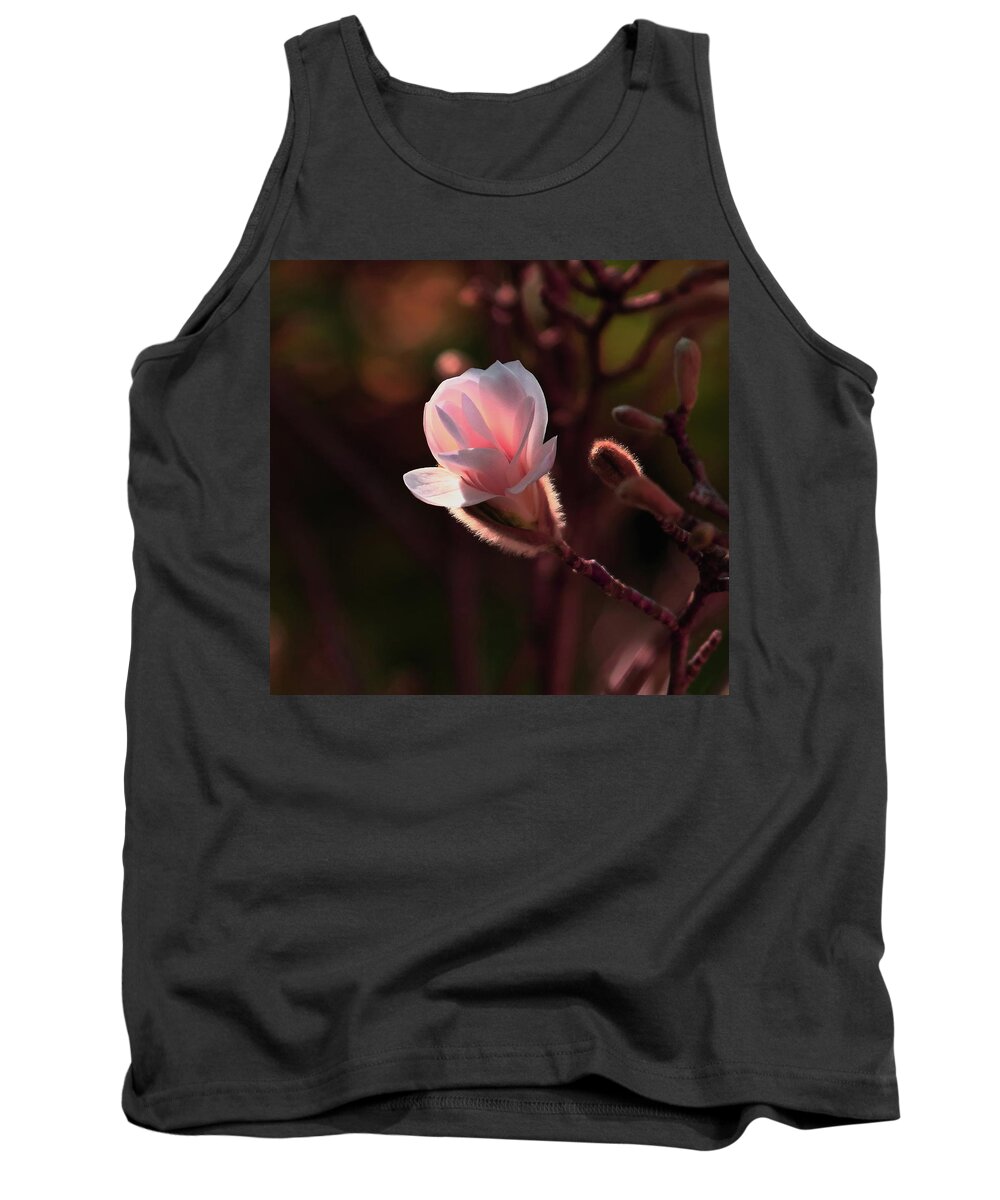 Magnolia Tank Top featuring the photograph Pink Magnolia by Jeff Townsend