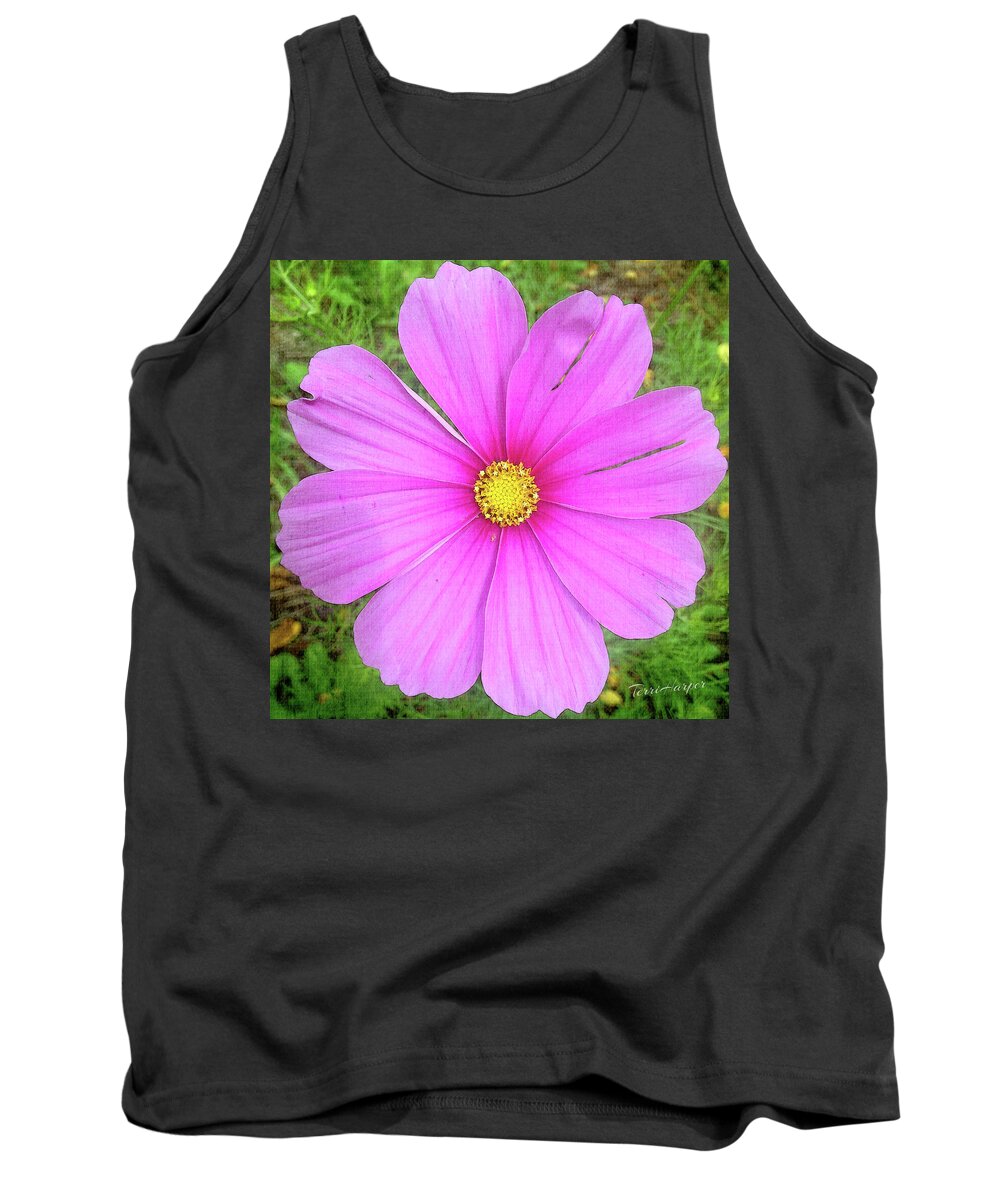Pink Tank Top featuring the photograph Pink by Terri Harper