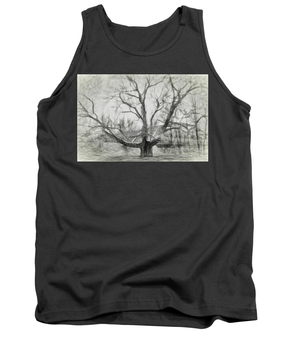 Pinchot Tank Top featuring the photograph Pinchot Tree Sketch by Lorraine Cosgrove