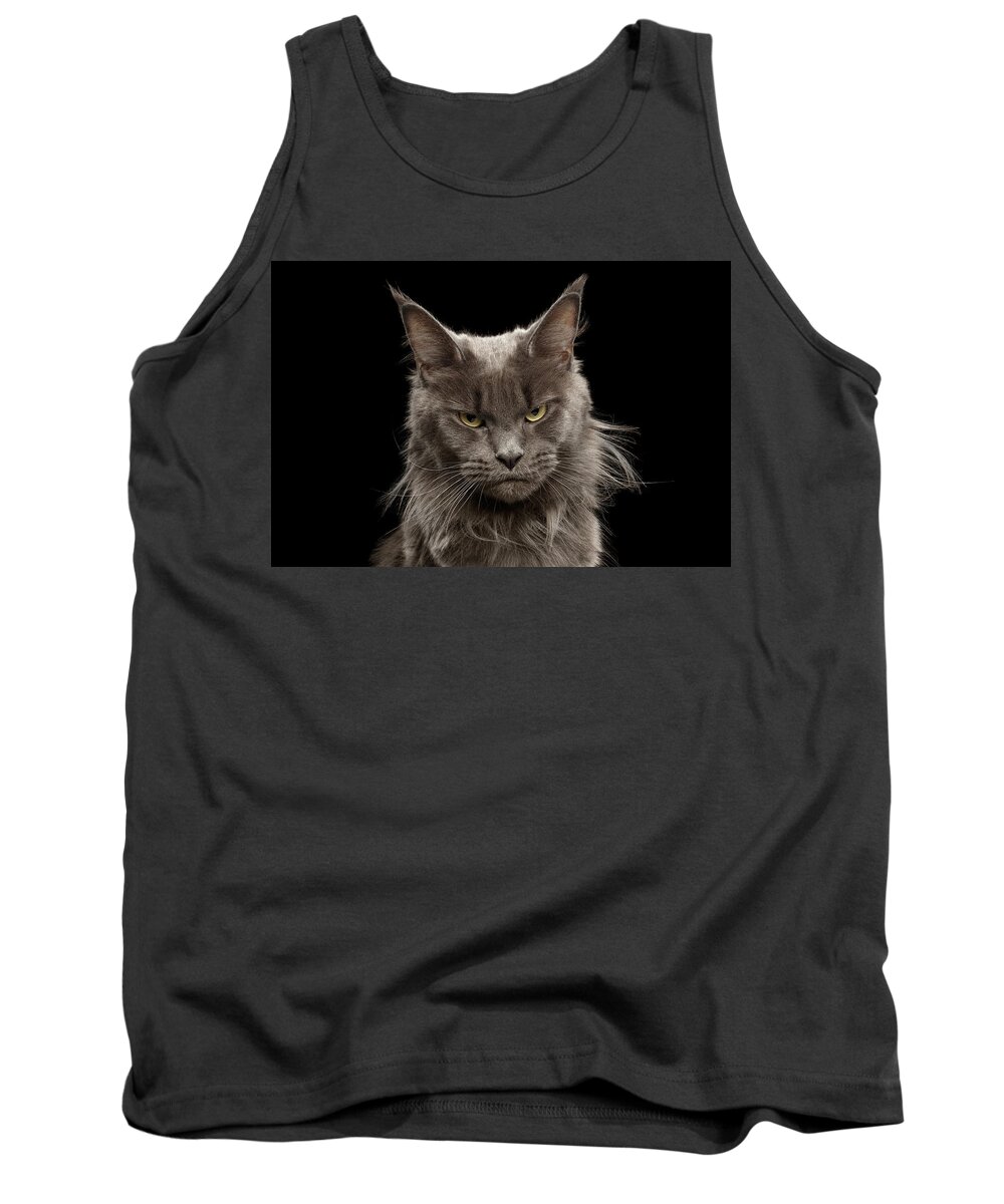 Portrait Tank Top featuring the photograph Portrait of Angry Maine Coon on black by Sergey Taran