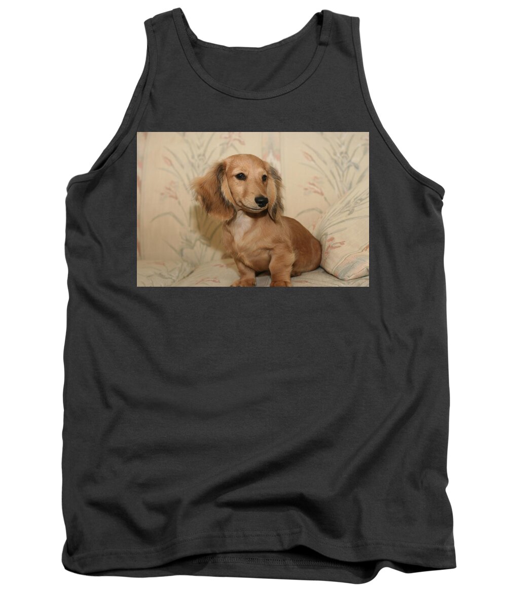 Companion Tank Top featuring the photograph Pretty Pup by Ree Reid