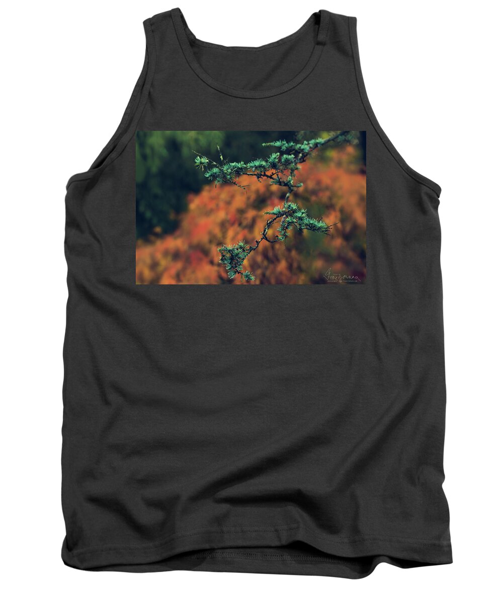 Nature Tank Top featuring the photograph Prickly Green by Gene Garnace