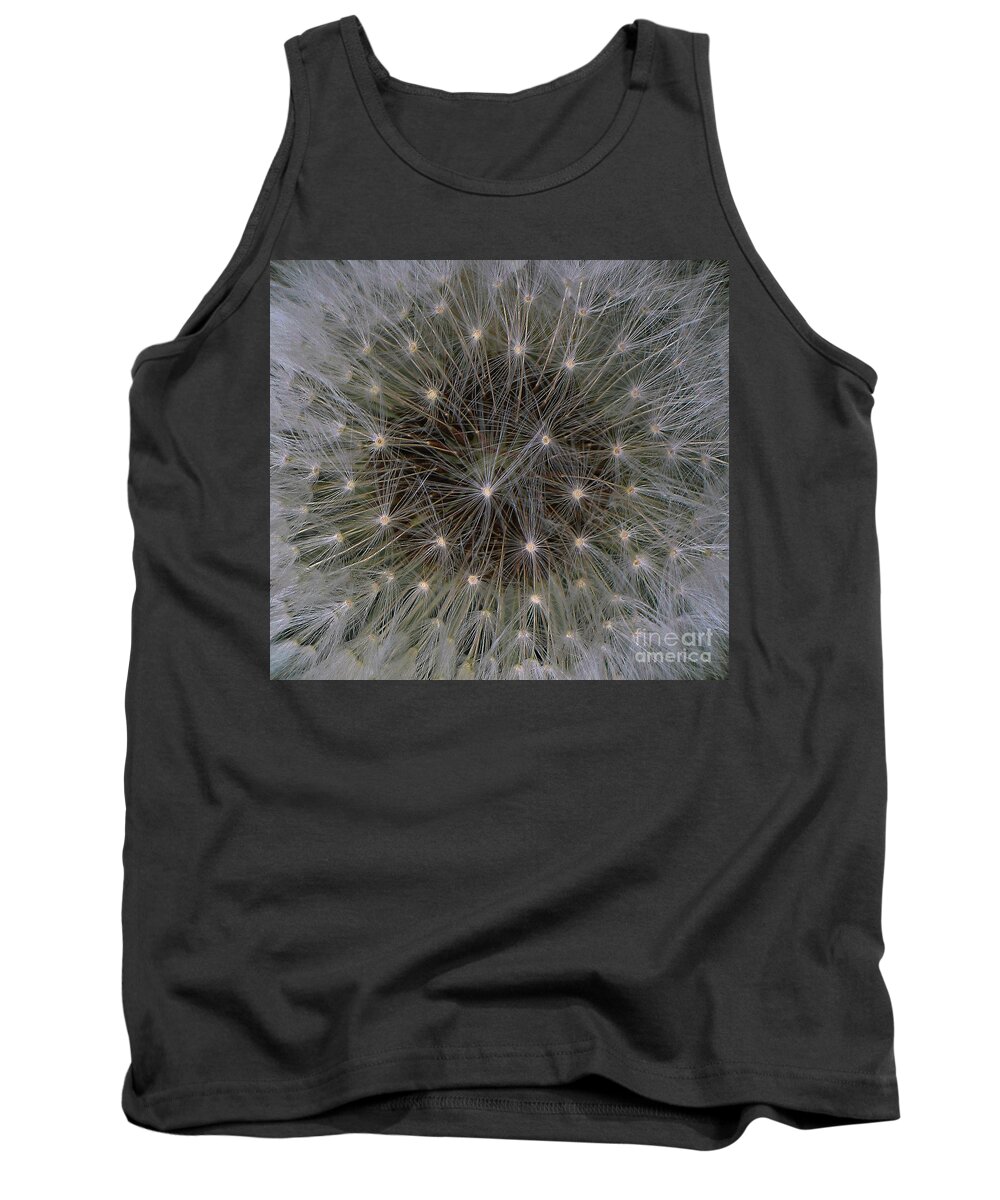 Plant Tank Top featuring the photograph Puff 2 by Barry Bohn