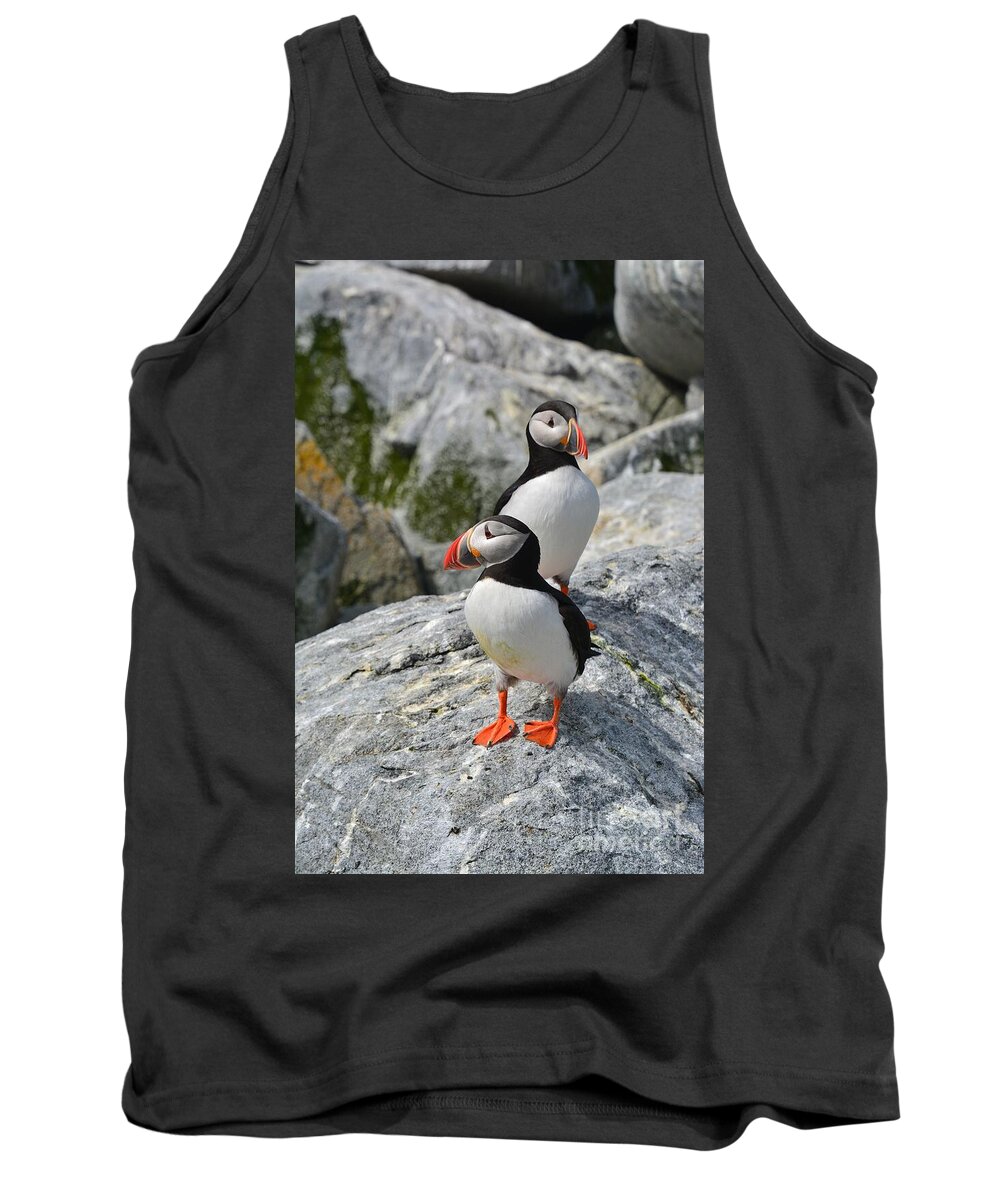 Puffins Tank Top featuring the photograph Puffins by Steve Brown