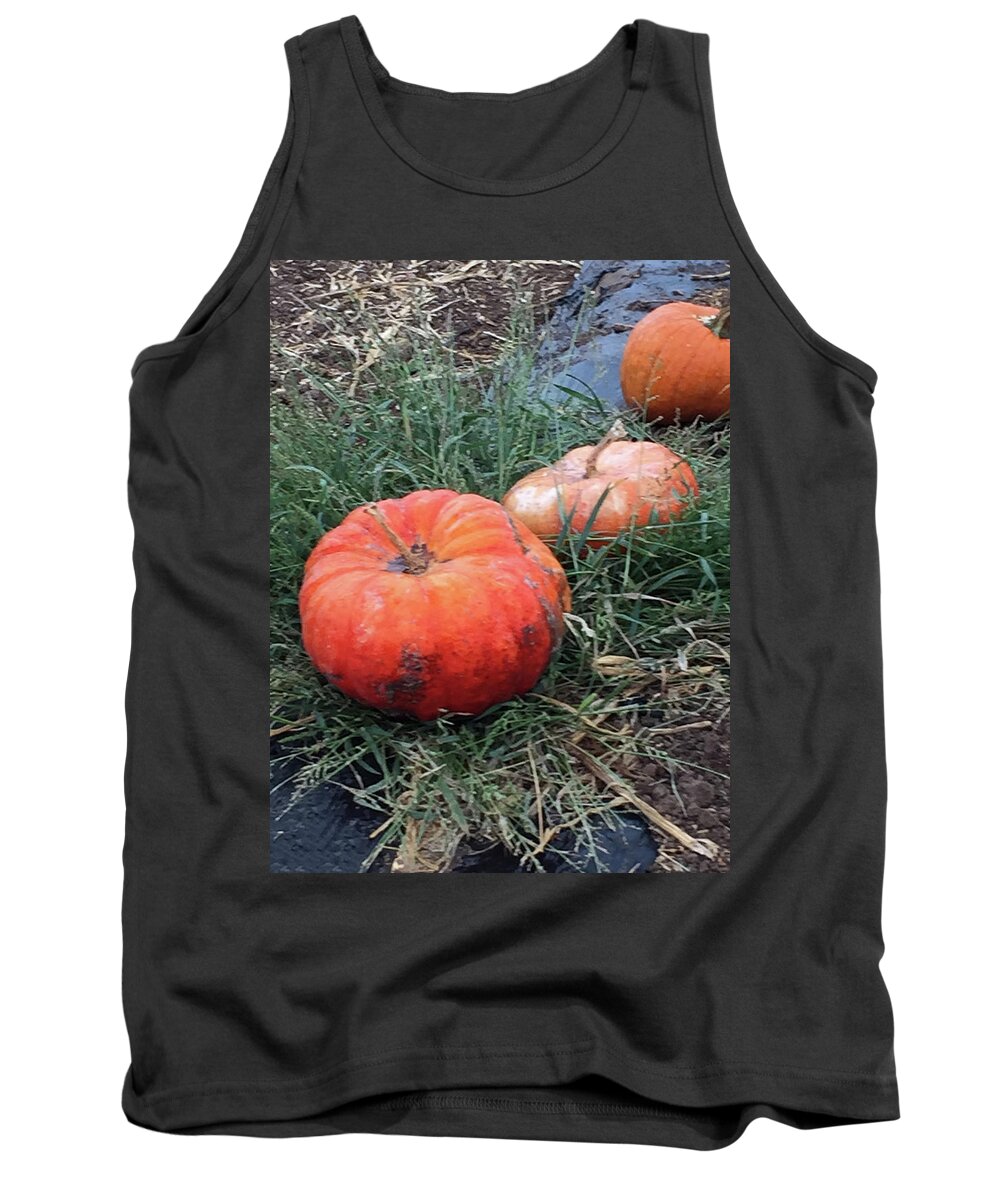 Pumpkins Tank Top featuring the photograph Pumpkins in a Row by Portraits By NC