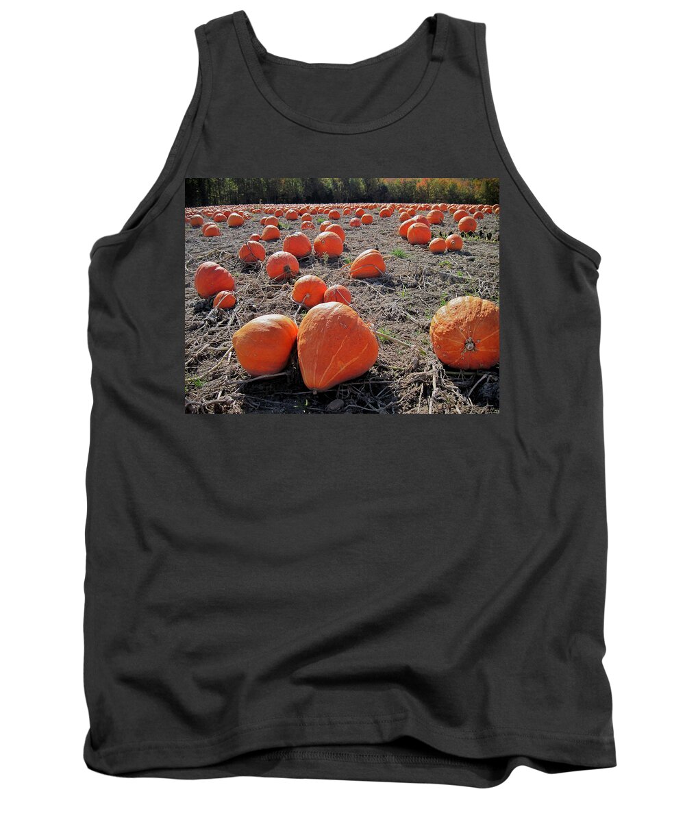Imperfect Tank Top featuring the photograph Pumpkins of an Imperfect World by Mary Lee Dereske