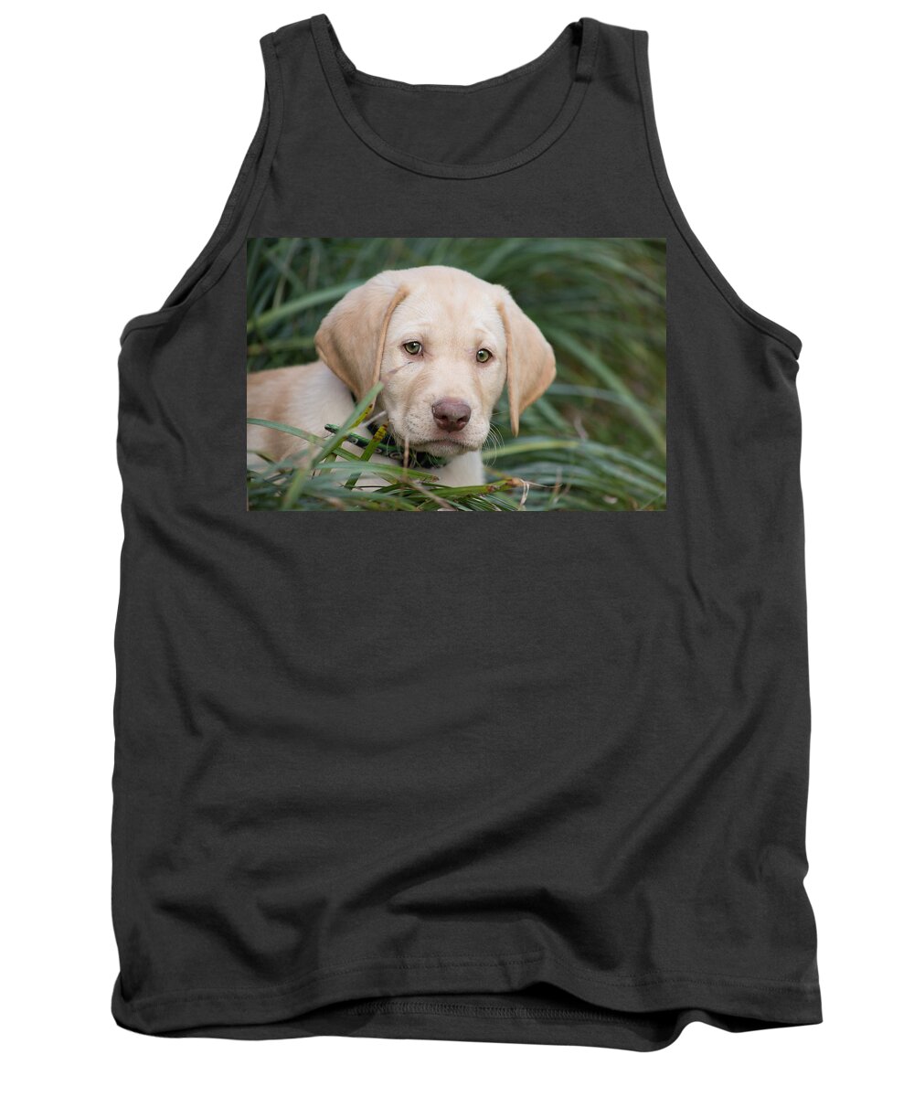 Puppy Tank Top featuring the photograph Puppy Love by Jessica Brown
