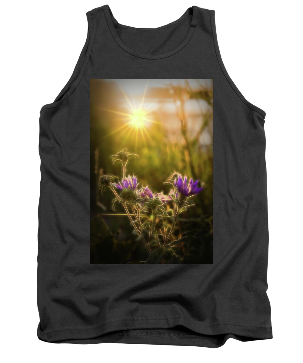 Purple Aster Tank Top featuring the photograph Purple Aster Glow by Beth Venner