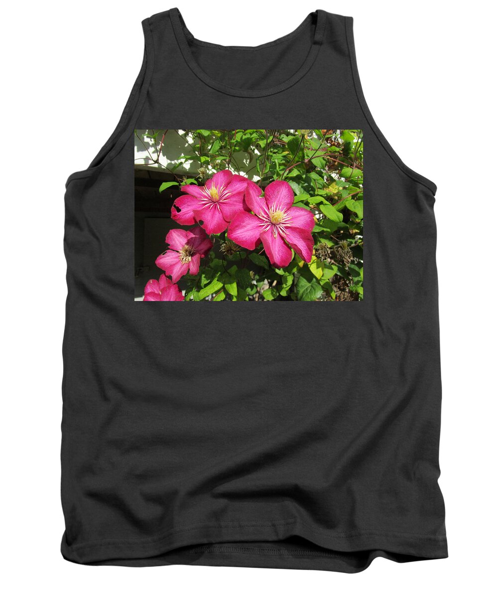 Clematis Tank Top featuring the photograph Purple Clematis by Rosita Larsson