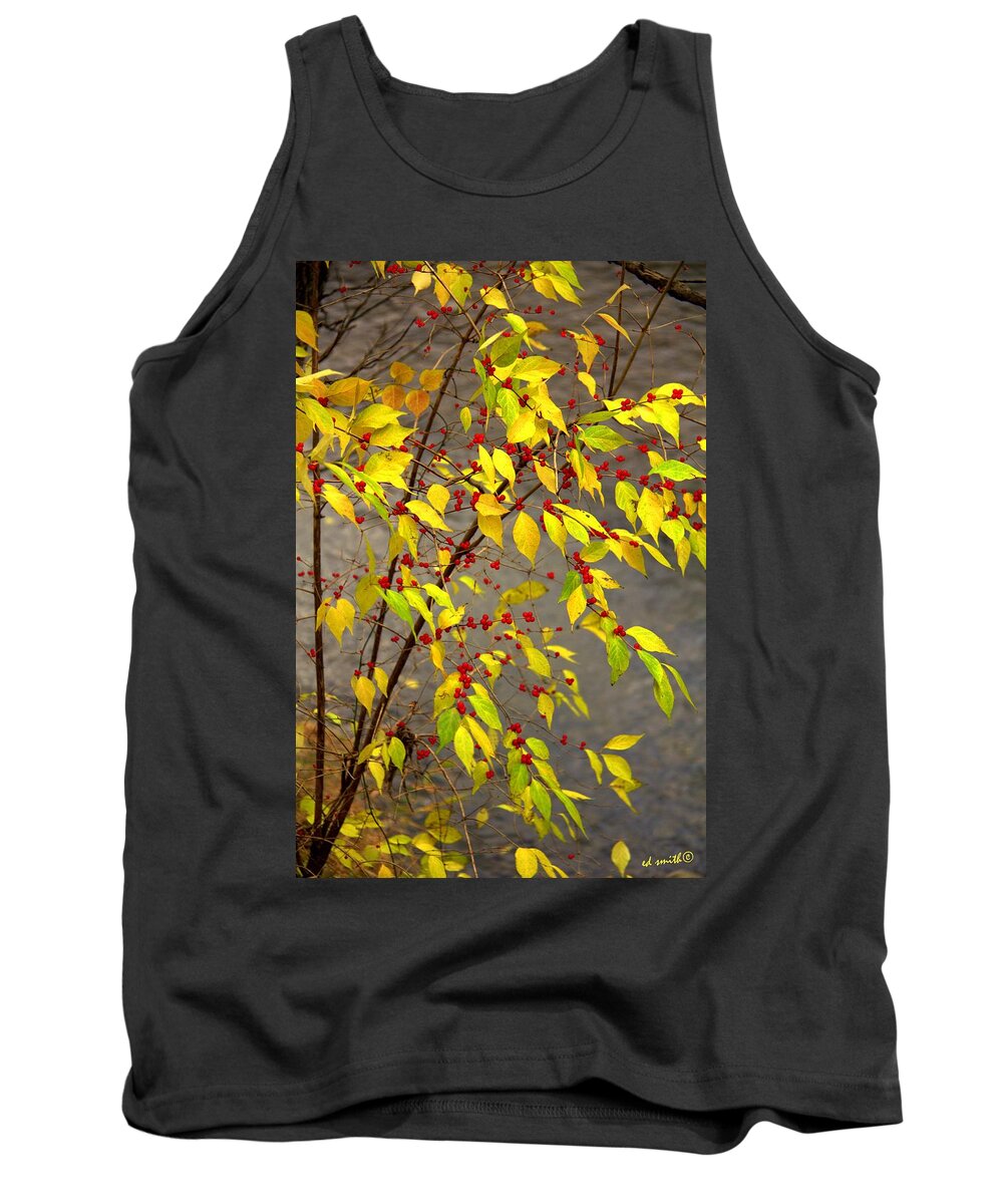 Raccoon Snacks Tank Top featuring the photograph Raccoon Snacks by Edward Smith