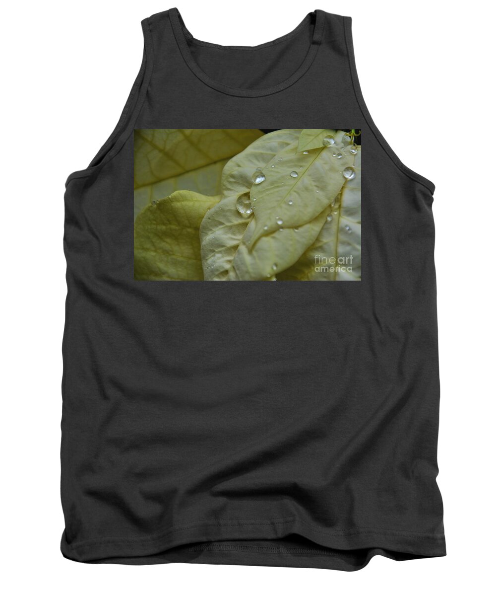 Adrian-deleon Tank Top featuring the photograph Rain drops on a White Poinsettia by Adrian De Leon Art and Photography